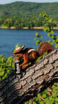 Cinco De Mayo Beer GIF by RIZNWILD