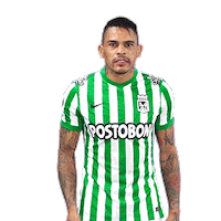 El Loco Futbol Sticker by Club Atlético Nacional