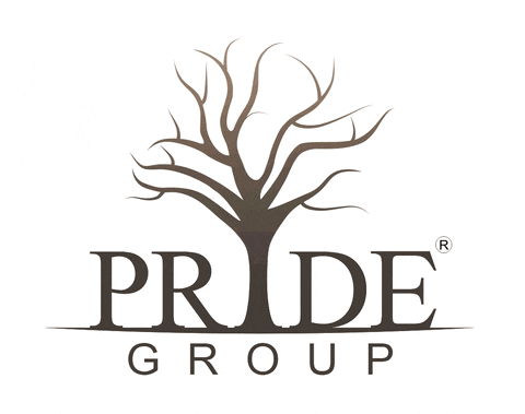 pride_group giphyupload pridegroup sudendushah sudendu GIF
