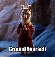 Grounding In The Now GIF by dalaillamazen