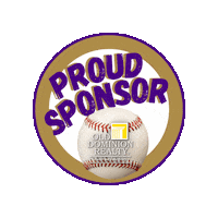 Real Estate Baseball Sticker by Old Dominion Realty