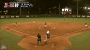 national pro fastpitch softball GIF by USSSA Pride