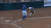 fastpitch shelby pendley GIF by USSSA Pride