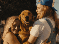 The Dog GIF by Leo33