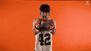 Uvamenslax GIF by Virginia Athletics