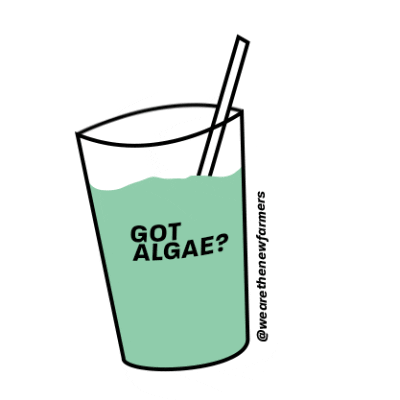 drink healthy juice protein smoothie Sticker