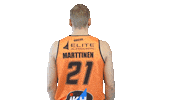 Sport Bear Sticker by Basket_fi