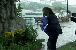 Kamala Harris GIF by GIPHY News