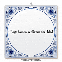 Reflectie Verandering GIF by Tegelspreuken.nl