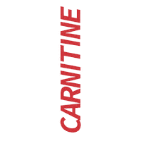 L-Carnitine Fitness Sticker by Campus Protein