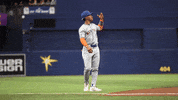 Happy New York GIF by MLB