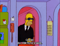 homer simpson GIF