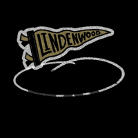 College Move In GIF by Lindenwood University