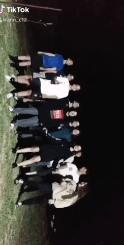 luximux giphygifmaker GIF