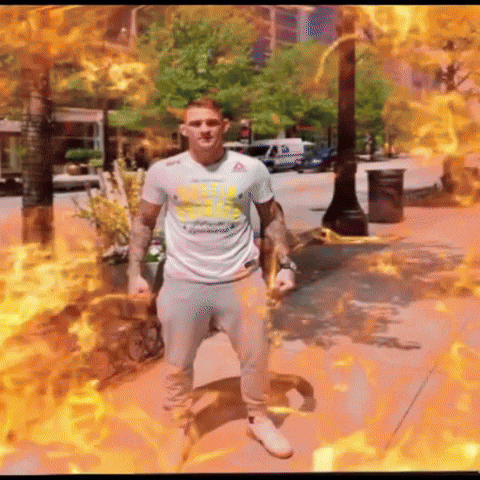 Ufc Dustin GIF
