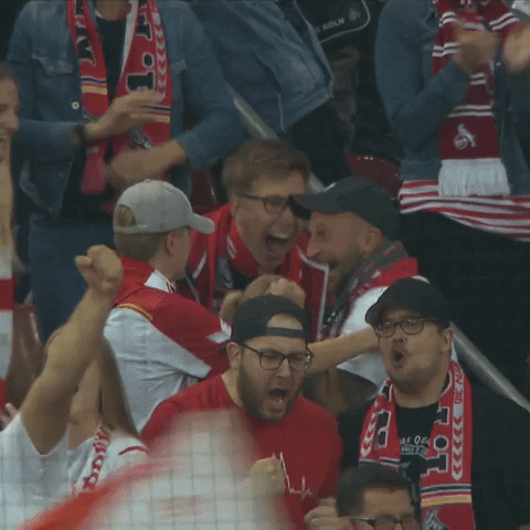 1 Fc Cologne Football GIF by 1. FC Köln
