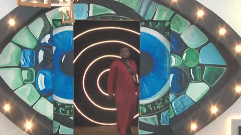 Bbnaija GIF by Big Brother Naija