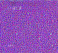 ZOEGlITZZ  GIF