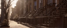 GIF by Surina & Mel.