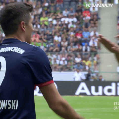 shake hello GIF by FC Bayern Munich
