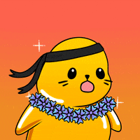 Fun Wow GIF by Sappy Seals Community