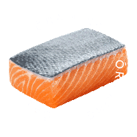 OraKing salmon ora king oraking ora king salmon Sticker