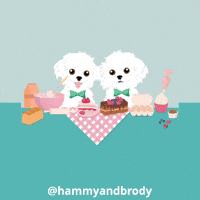 Dog GIF by HammyandBrody