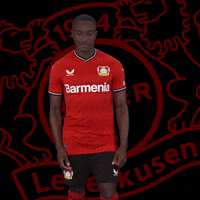 Happy Celebration GIF by Bayer 04 Leverkusen