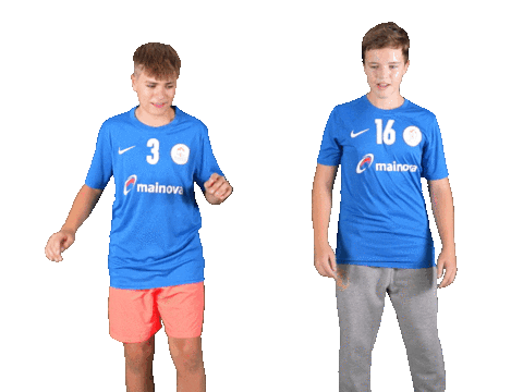 Mc Sticker by THE DOGS - TSV Pfungstadt Handball