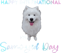 Sammy Benji Sticker