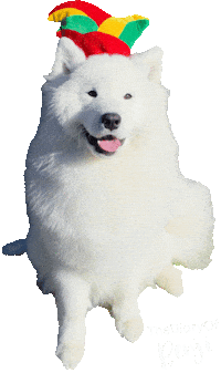 Carnaval Benji Sticker