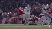Sport Celebration GIF by New England Patriots