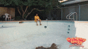 Swamp Dogg Dance GIF by Magnolia Pictures