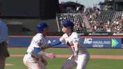 Major League Baseball Win GIF by MLB
