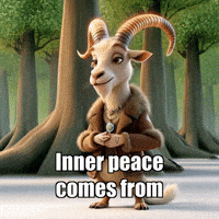 GIF by Radiantelope