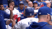 Blue Jays Baseball GIF by Toronto Blue Jays