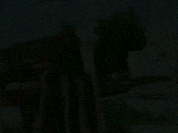Music Video Mv GIF by Buju Banton