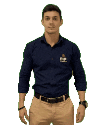 Palmas Celebrating Sticker by FIP EMPREENDIMENTOS