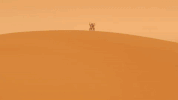 GIF by MAJOR LAZER