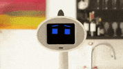 GIF by Supercompressor