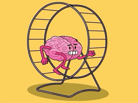 Hamster Wheel Spinning GIF by BrainPOP