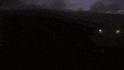 Tierparkgoldau GIF by Natur- und Tierpark Goldau