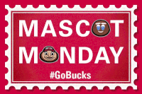Ncaa Sports GIF by Ohio State Athletics