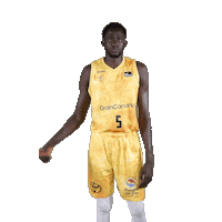 Liga Endesa Sport Sticker by ACB