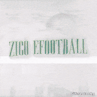 Zico GIF