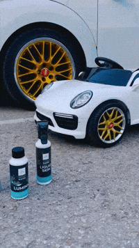 Volkswagen Beetle GIF by GoGoNano