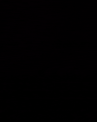Angrybird GIF