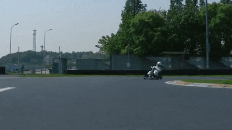 bobfan8e82 giphyupload GIF