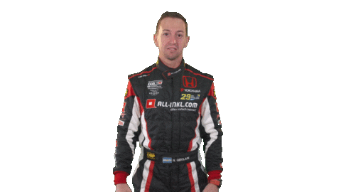 honda what Sticker by FIA WTCR