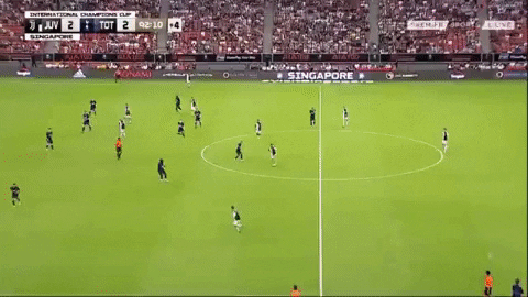 dolan610 giphygifmaker tottenham harry kane GIF